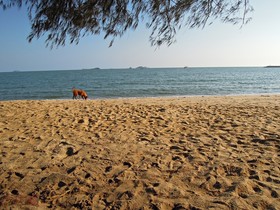 Duangtawan Beach Resort