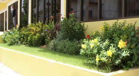 Laemya Inn