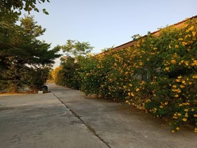 MaihomSailom Resort