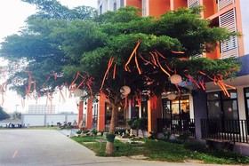 Sakura Boutique Hotel and Resident