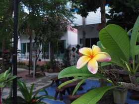 Samed Seaside Resort