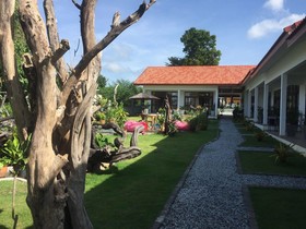Tree Roots Retreat