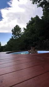 Villa Nutt