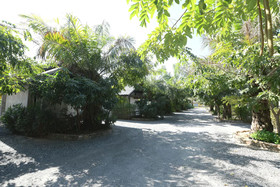 Waaina Resort by OYO Rooms