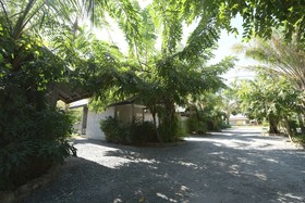 Waaina Resort by OYO Rooms