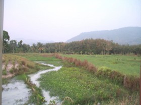 Yaida Country Resort