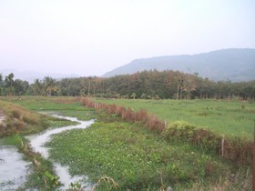 Yaida Country Resort