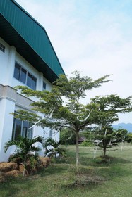 Baan Ricky Motocross and Enduro Track
