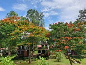 Cliff & Cape Camping Resort