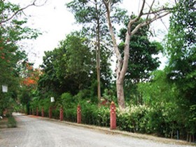 Pongsuda Chalet