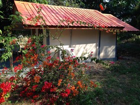 Areeya Resort