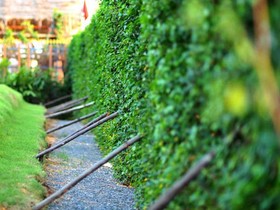 Le blocs Resort and Cafe