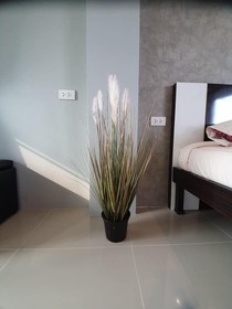 Samutsakorn Apartment