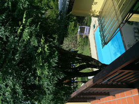 Baan Phor Bangkontee