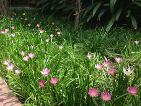Baan Siriporn Resort
