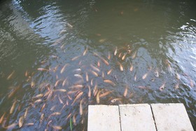 Baan Suan Nuan Ta