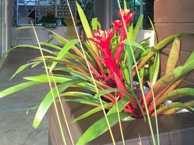 My Garden Serviced Apartment