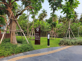 Na Tree Tara