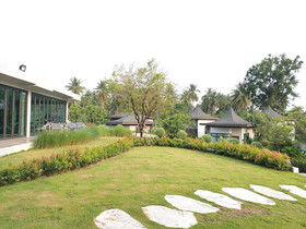 Na Tree Tara