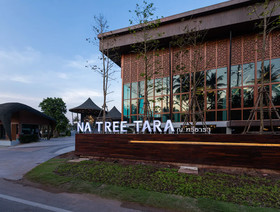 Na Tree Tara