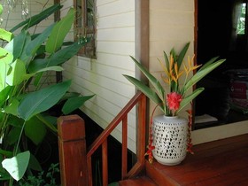 Serene Home