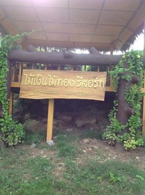 Mai Ngern Mai Thong Resort