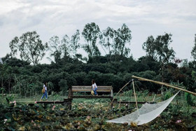 Parida Resort