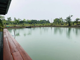 Parida Resort
