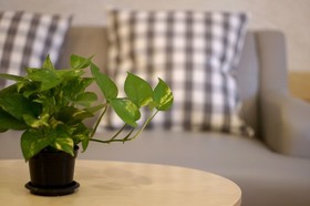 Benri sriracha residence