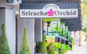 Sriracha Orchid Hotel