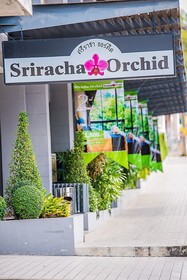 Sriracha Orchid Hotel