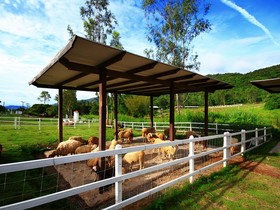 Aristo Chic Resort & Farm