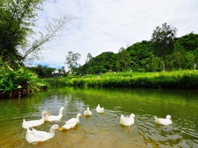 Aristo Chic Resort & Farm