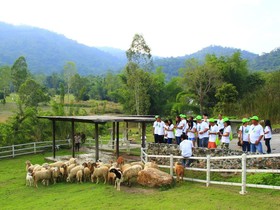 Aristo Chic Resort & Farm