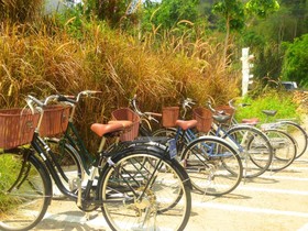 Aristo Chic Resort & Farm