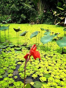 Baan Huay Namrin