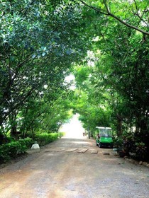 Baan Huay Namrin