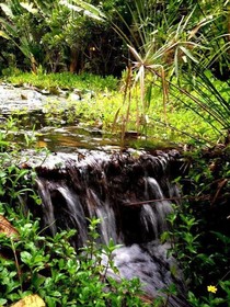 Baan Huay Namrin