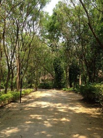 Baan Huay Namrin