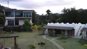 Dandelion Resort