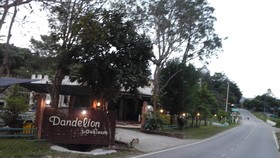 Dandelion Resort