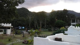 Dandelion Resort