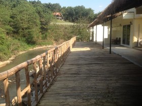 Dandelion Resort
