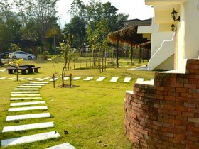 Dandelion Resort