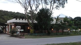 Dandelion Resort