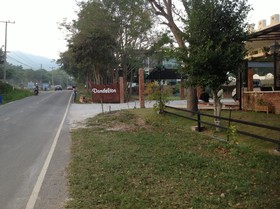 Dandelion Resort