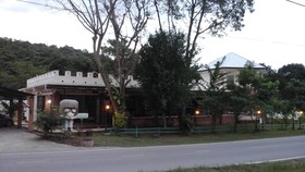 Dandelion Resort