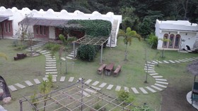Dandelion Resort
