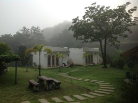 Dandelion Resort
