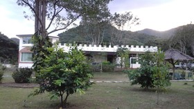 Dandelion Resort